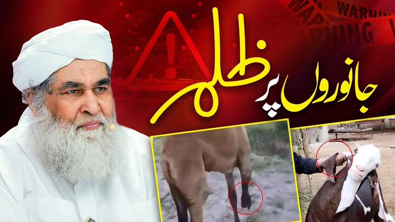 Qurbani Ke Janwaron Par Zulm | Apne Janwar Ka Khyal Rakhen | Bakra Eid 2024 | Maulana Ilyas Qadri